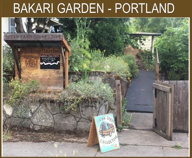 Bakari-Garden-Portland