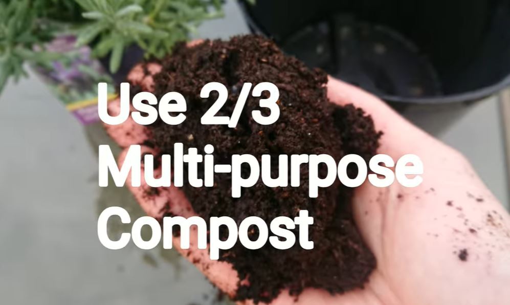 Use Compost