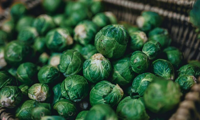 How Many Brussels Sprouts per Plant?